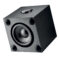 Focal Cub Evo